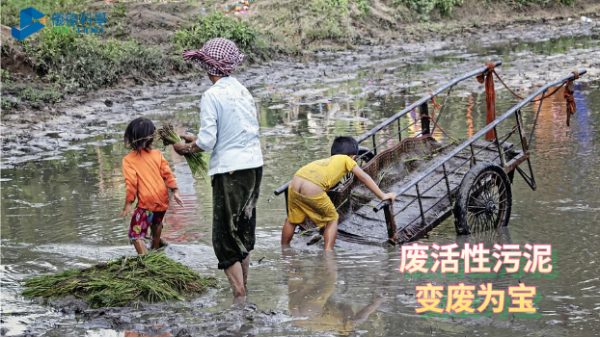 變廢為寶，微波消解助廢活性污泥銅檢測